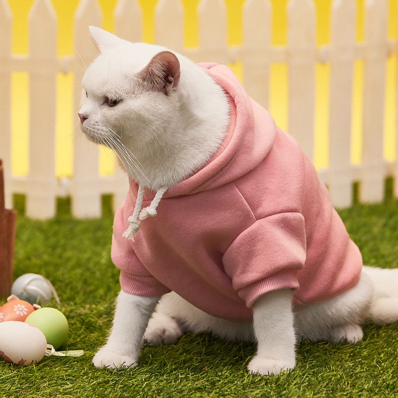 PG Pet Costume PS123011