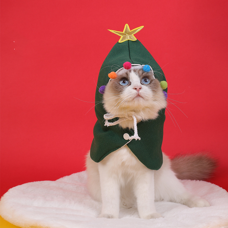 PG Pet Costume PS123015
