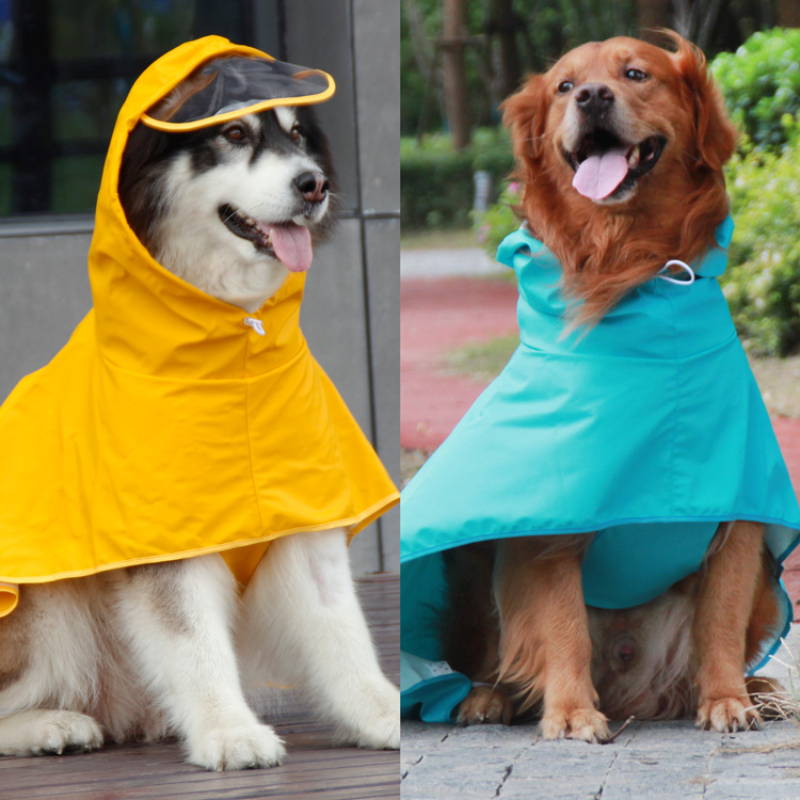 PG Pet Costume PS123002