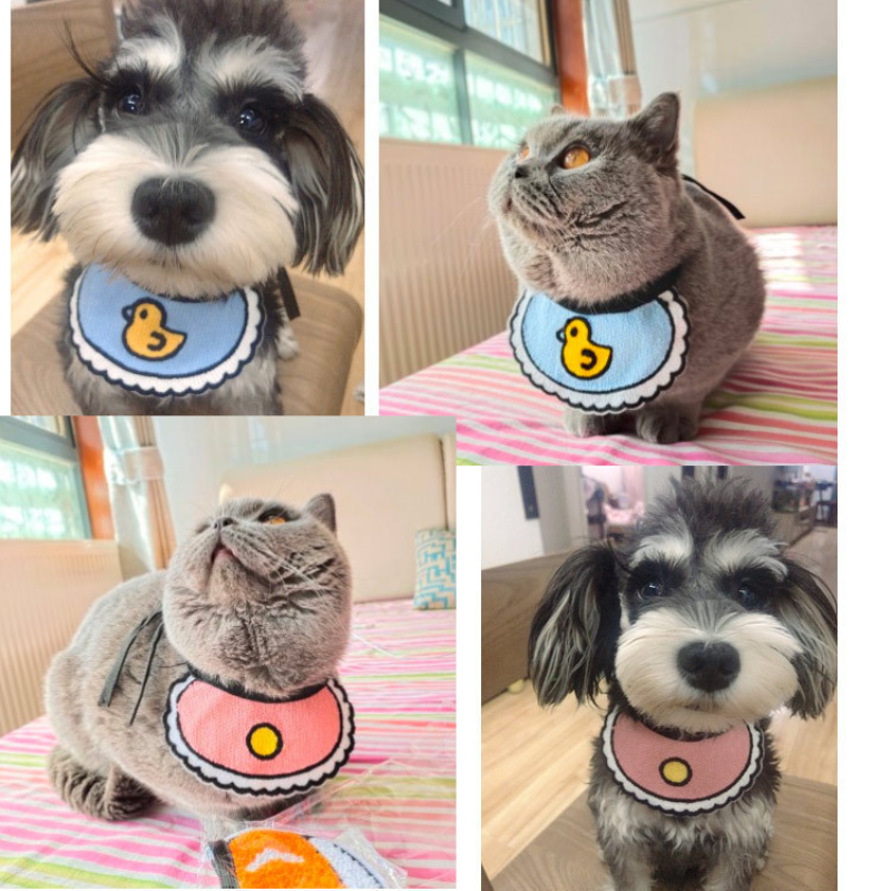 PG Pet Costume PS123016