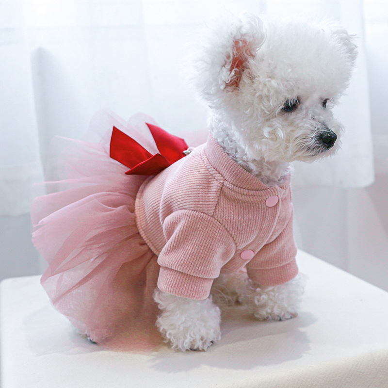 PG Pet Costume PS123017