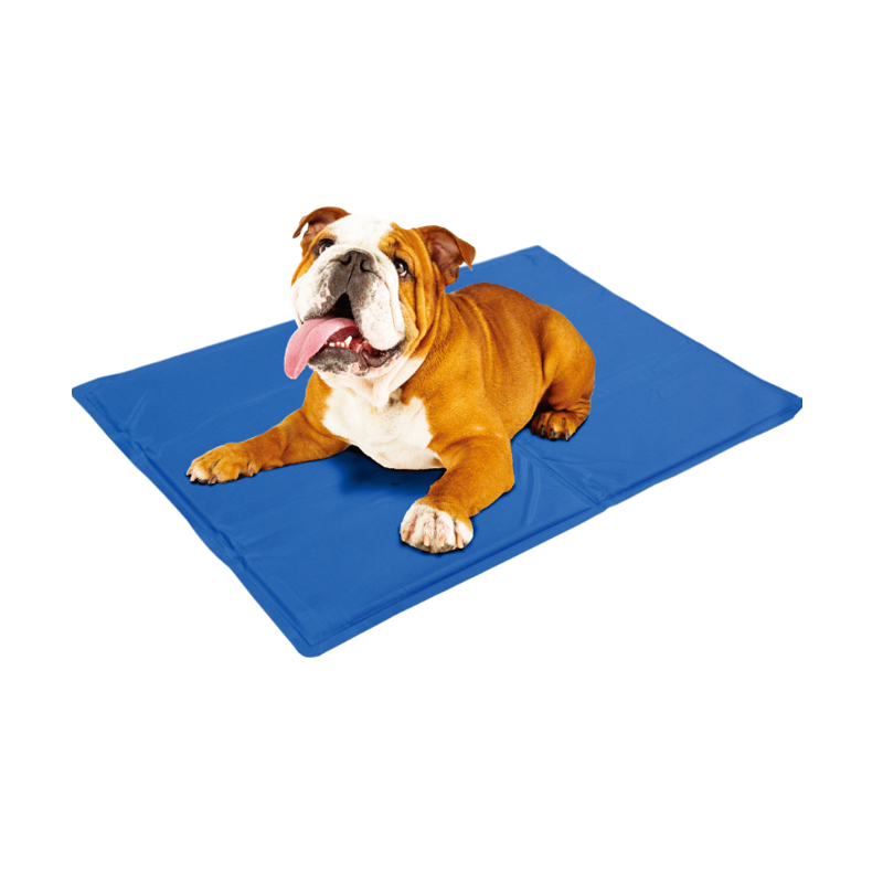 PG  Pet Care PS220015